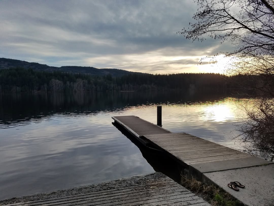 Still water at dusk